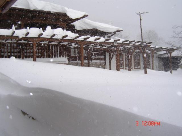 The House With The Vine Guest House Scherawna Exterior foto