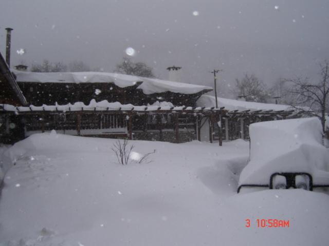 The House With The Vine Guest House Scherawna Exterior foto