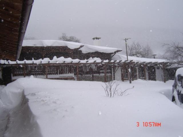The House With The Vine Guest House Scherawna Exterior foto