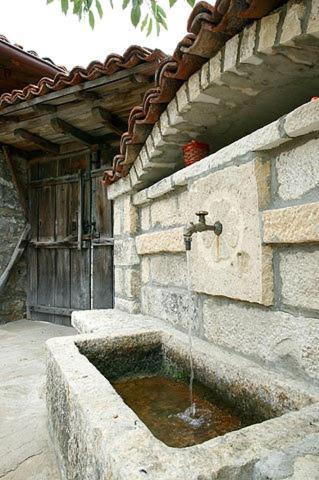 The House With The Vine Guest House Scherawna Exterior foto